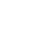 icon1 icon1