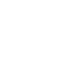 icon2 icon2